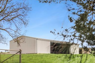 Lifestyle For Sale - VIC - Drysdale - 3222 - Prime Rural Holding with Secure Income & Exceptional Future Potential  (Image 2)