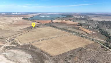 Other (Rural) For Sale - VIC - Mystic Park - 3579 - Create Your Country Dream on 14.03 Hectares  (Image 2)