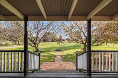 Lifestyle For Sale - NSW - Tamworth - 2340 - INCOME POTENTIAL WITH APPROVED GRANNY FLAT  (Image 2)