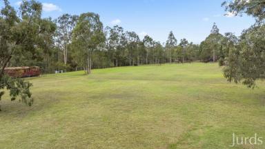 Lifestyle For Sale - NSW - North Rothbury - 2335 - A Rare 10-Acre Lifestyle Opportunity in the Heart of the Hunter Valley (Image 2)