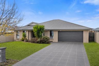 House For Sale - NSW - Mudgee - 2850 - FAMILY LIVING OF GENEROUS PROPORTIONS  (Image 2)
