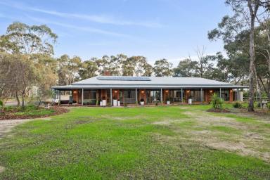 House For Sale - VIC - Junortoun - 3551 - A Lifestyle Property That Delivers  (Image 2)