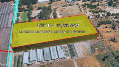House For Sale - WA - Gnangara - 6077 - HE STRATEGIC LAND BANK | 3.75Ha BLUE-CHIP WITH MOVE-IN READY 4X1 HQ (Image 2)