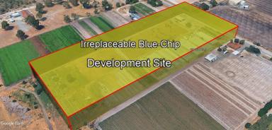 Residential Block For Sale - WA - Gnangara - 6077 - THE ULTIMATE METRO LAND BANK | THE SYDNEY ROAD SUPERBLOCK  (Image 2)
