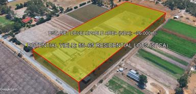 Residential Block For Sale - WA - Gnangara - 6077 - THE ULTIMATE METRO LAND BANK | THE SYDNEY ROAD SUPERBLOCK  (Image 2)