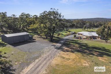 Lifestyle For Sale - VIC - Ararat - 3377 - Executive home on approx 111 acres with wonderful views  (Image 2)