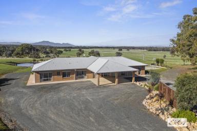 Lifestyle For Sale - VIC - Ararat - 3377 - Executive home on approx 111 acres with wonderful views  (Image 2)