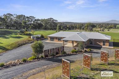 Lifestyle For Sale - VIC - Ararat - 3377 - Executive home on approx 111 acres with wonderful views  (Image 2)