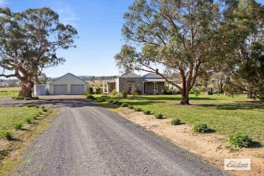 Lifestyle For Sale - VIC - Moyston - 3377 - 'Westcot' Historic Lifestyle Property Offering Privacy, Infrastructure & Versatility  (Image 2)