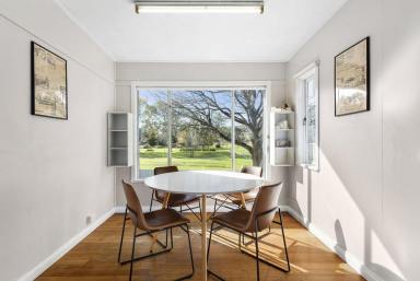 House For Sale - QLD - Allora - 4362 - Charm and Character in Allora (Image 2)