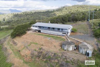 Acreage/Semi-rural For Sale - QLD - Mulgowie - 4341 - 50 Acres of Scenic Country Living with Stunning Valley Views  (Image 2)