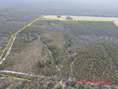 Residential Block For Sale - WA - McAlinden - 6225 - Peace and quiet with Ready to go income  (Image 2)