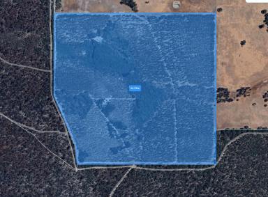 Residential Block For Sale - WA - McAlinden - 6225 - Peace and quiet with Ready to go income (Image 2)