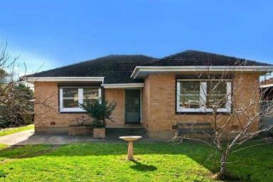 House For Lease - SA - Klemzig - 5087 - Three Bed Rooms with Big Backyard House is Available now  (Image 2)
