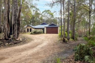 House For Sale - WA - Margaret River - 6285 - Bushland Haven with Treetop Outlook (Image 2)