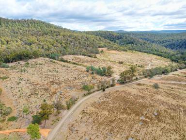 Residential Block For Sale - TAS - Bicheno - 7215 - Lot 12 Apsley Park (Image 2)