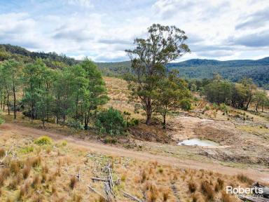 Residential Block For Sale - TAS - Bicheno - 7215 - Lot 12 Apsley Park  (Image 2)