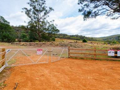 Residential Block For Sale - TAS - Bicheno - 7215 - Lot 12 Apsley Park (Image 2)
