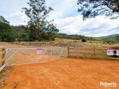 Residential Block For Sale - TAS - Bicheno - 7215 - Lot 12 Apsley Park  (Image 2)