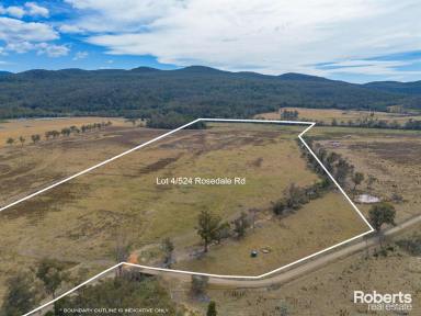 Residential Block For Sale - TAS - Bicheno - 7215 - Idyllic Riverfront Acreage with Unlimited Potential (Image 2)