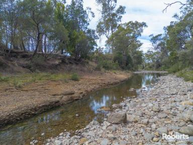 Residential Block For Sale - TAS - Bicheno - 7215 - Idyllic Riverfront Acreage with Unlimited Potential (Image 2)