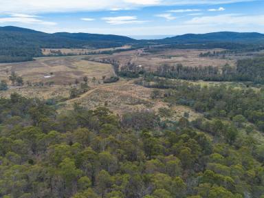 Residential Block For Sale - TAS - Bicheno - 7215 - Pastoral charm and natural beauty.  (Image 2)