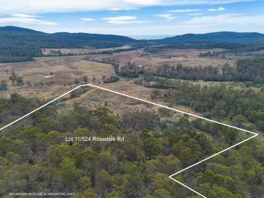 Residential Block For Sale - TAS - Bicheno - 7215 - Pastoral charm and natural beauty.  (Image 2)
