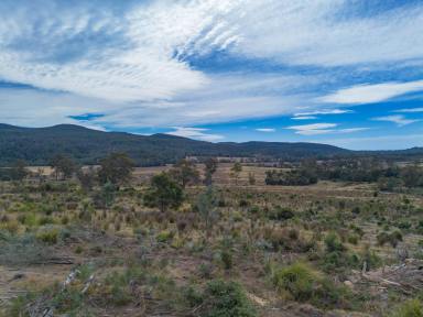 Residential Block For Sale - TAS - Bicheno - 7215 - Pastoral charm and natural beauty.  (Image 2)