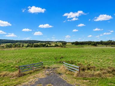 Residential Block For Sale - NSW - Young - 2594 - 14.6ac Vacant Block Ready To Go!  (Image 2)