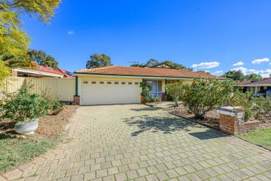 House For Sale - WA - Stratton - 6056 - Spacious Family Home  (Image 2)