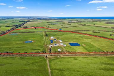 Dairy For Sale - VIC - Heytesbury Lower - 3268 - TOP-CLASS HEYTESBURY / PETERBOROUGH DISTRICT DAIRY FARM (Image 2)