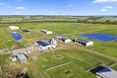 Dairy For Sale - VIC - Heytesbury Lower - 3268 - TOP-CLASS HEYTESBURY / PETERBOROUGH DISTRICT DAIRY FARM  (Image 2)