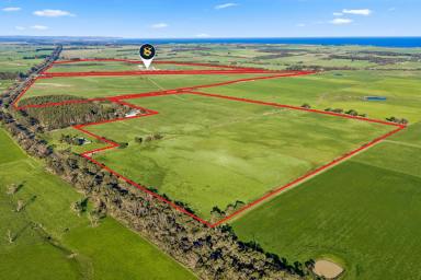 Dairy For Sale - VIC - Heytesbury Lower - 3268 - TOP-CLASS HEYTESBURY / PETERBOROUGH DISTRICT DAIRY FARM (Image 2)