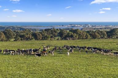 Dairy For Sale - VIC - Heytesbury Lower - 3268 - TOP-CLASS HEYTESBURY / PETERBOROUGH DISTRICT DAIRY FARM (Image 2)
