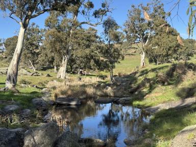 Residential Block For Sale - SA - Tungkillo - 5236 - 38.2 Hectares of space, nature and country. Elevated views over ancient Red Gums. Spectacular home sites (STCC).  (Image 2)