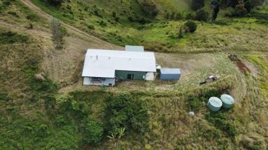 Residential Block For Sale - QLD - Glastonbury - 4570 - Ready for your forever home  (Image 2)