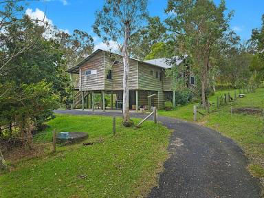 House For Sale - QLD - Ocean View - 4521 - Character, Craftsmanship & Country Lifestyle on 3.7 Acres  (Image 2)