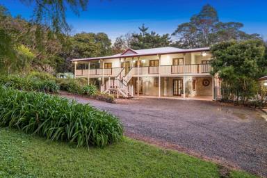 House For Sale - QLD - Reesville - 4552 - Substantial Character Home Minutes to Maleny!  (Image 2)