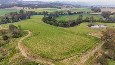 Livestock For Sale - QLD - Laravale - 4285 - Premium Logan River Lifestyle Holding with Secure Water  (Image 2)