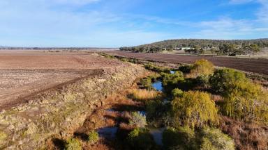 Cropping For Sale - QLD - Ellangowan - 4361 - 21.99 acres with creek frontage!!  (Image 2)