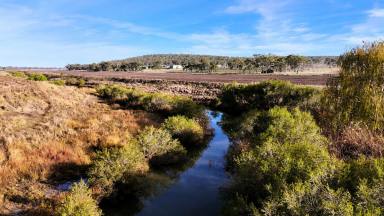 Cropping For Sale - QLD - Ellangowan - 4361 - 21.99 acres with creek frontage!!  (Image 2)