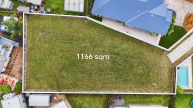 Residential Block For Sale - QLD - Cooroy - 4563 - A Rare Find, Land this Good Rarely Lasts  (Image 2)