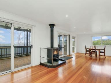 Acreage/Semi-rural For Sale - VIC - Omeo - 3898 - ELEVATED COUNTRY CHARM WITH SPECTACULAR VIEWS  (Image 2)
