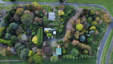 Business For Sale - TAS - Ridgley - 7321 - HERITAGE SEED BANK and OPEN GARDEN  (Image 2)