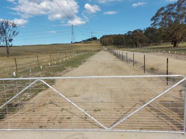 Residential Block For Sale - NSW - Portland - 2847 - Premium Rural Land Release Offering Space, Privacy & Endless Potential  (Image 2)
