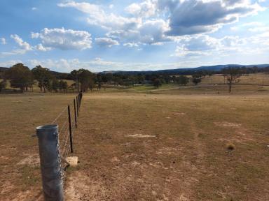 Residential Block For Sale - NSW - Portland - 2847 - Premium Rural Land Release Offering Space, Privacy & Endless Potential  (Image 2)