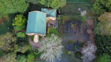 Commercial Farming For Sale - TAS - Ridgley - 7321 - HERITAGE SEED BANK and OPEN GARDEN  (Image 2)