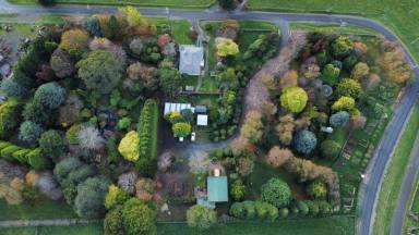 Commercial Farming For Sale - TAS - Ridgley - 7321 - HERITAGE SEED BANK and OPEN GARDEN  (Image 2)