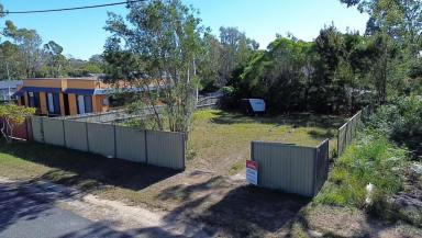 Residential Block For Sale - QLD - Macleay Island - 4184 - Only a 10 minute walk to Dalpura Beach  (Image 2)