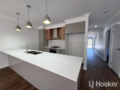 Duplex/Semi-detached Leased - NSW - Inverell - 2360 - Modern Duplex In Terry Drive  (Image 2)